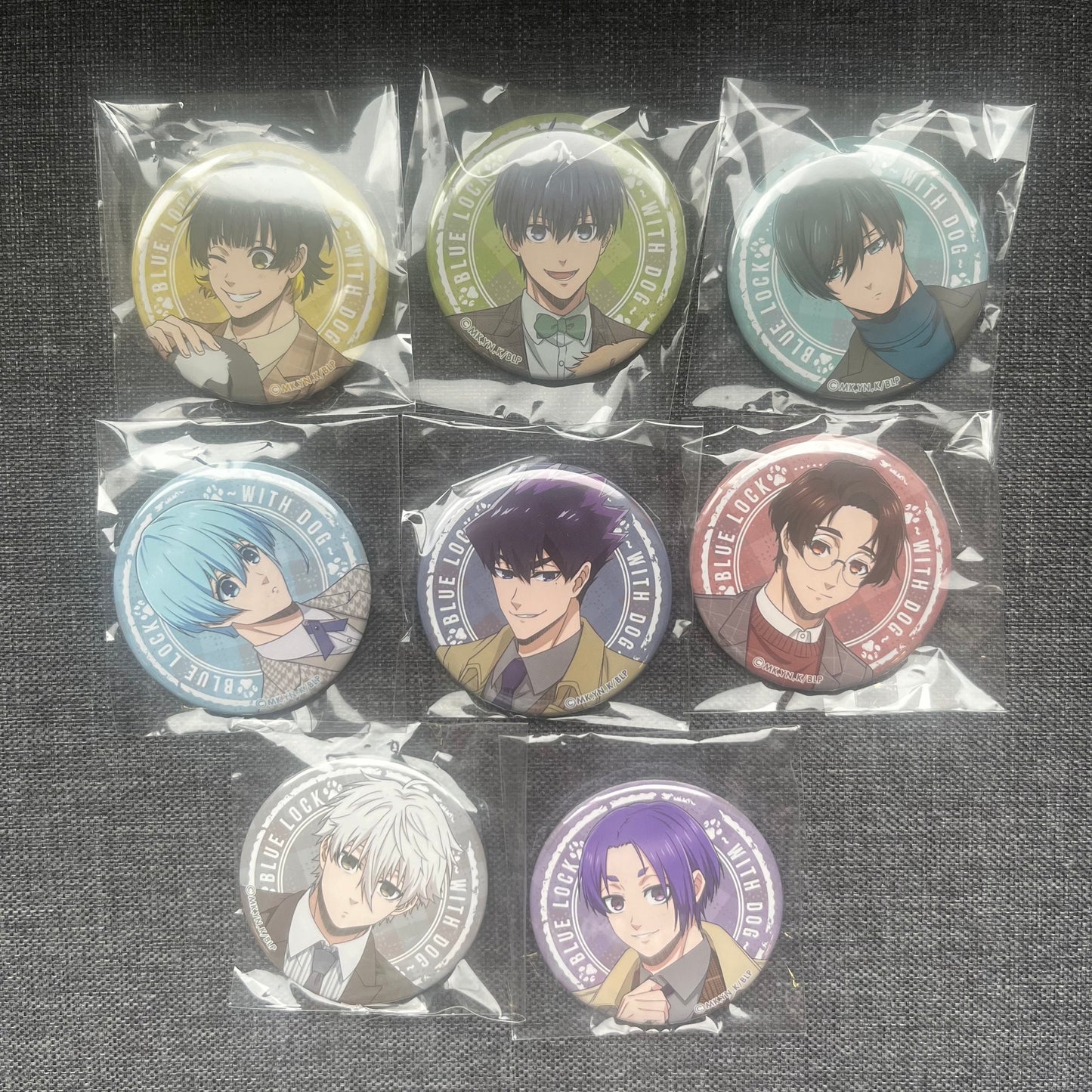 Blue Lock with Dog Badges