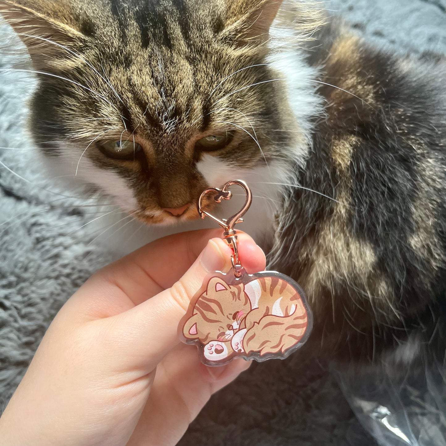 Cookie the Cat Keyring / Charm Fanmade Merch