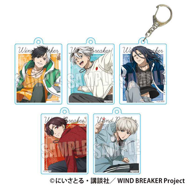 Wind Breaker Skater Acrylic Charms