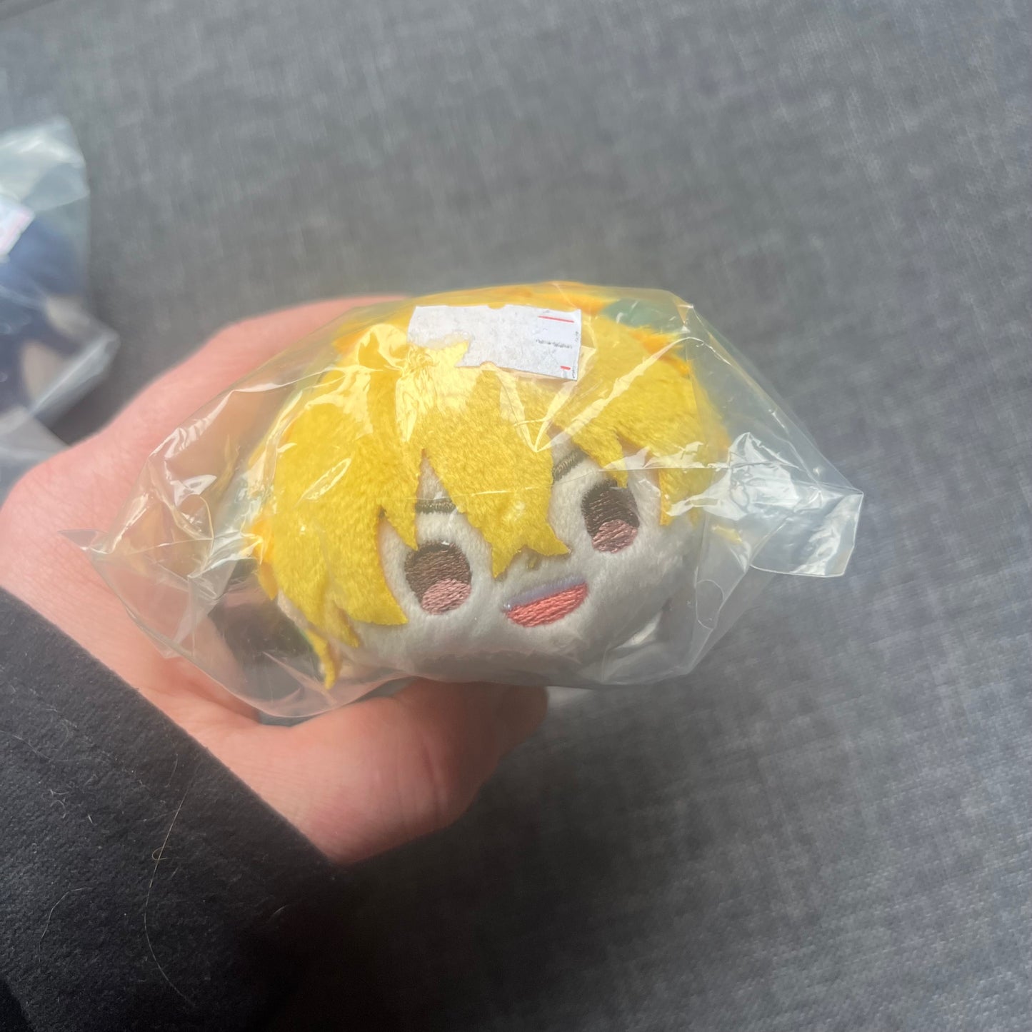 Wind Breaker Bean Plushies