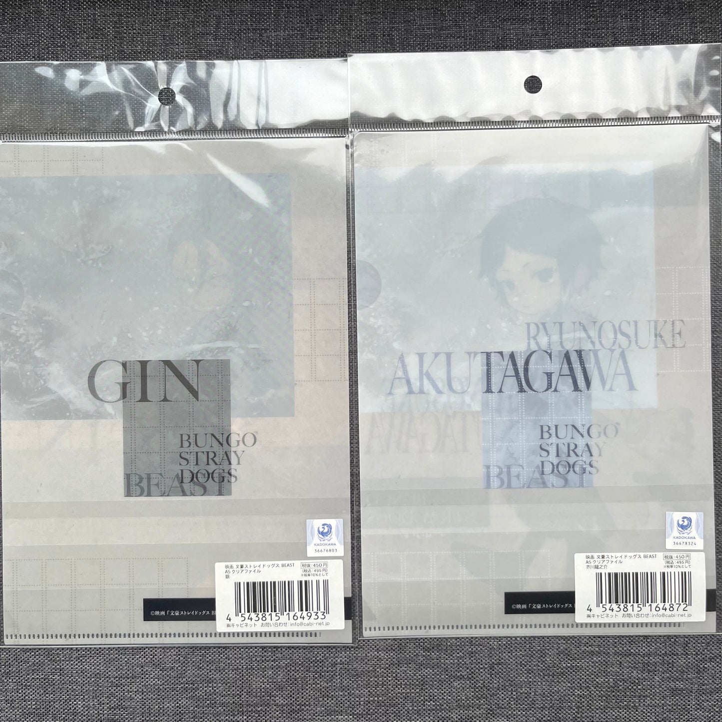 Bungou Stray Dogs Beast Gin/Akutagawa A5 Clear Files