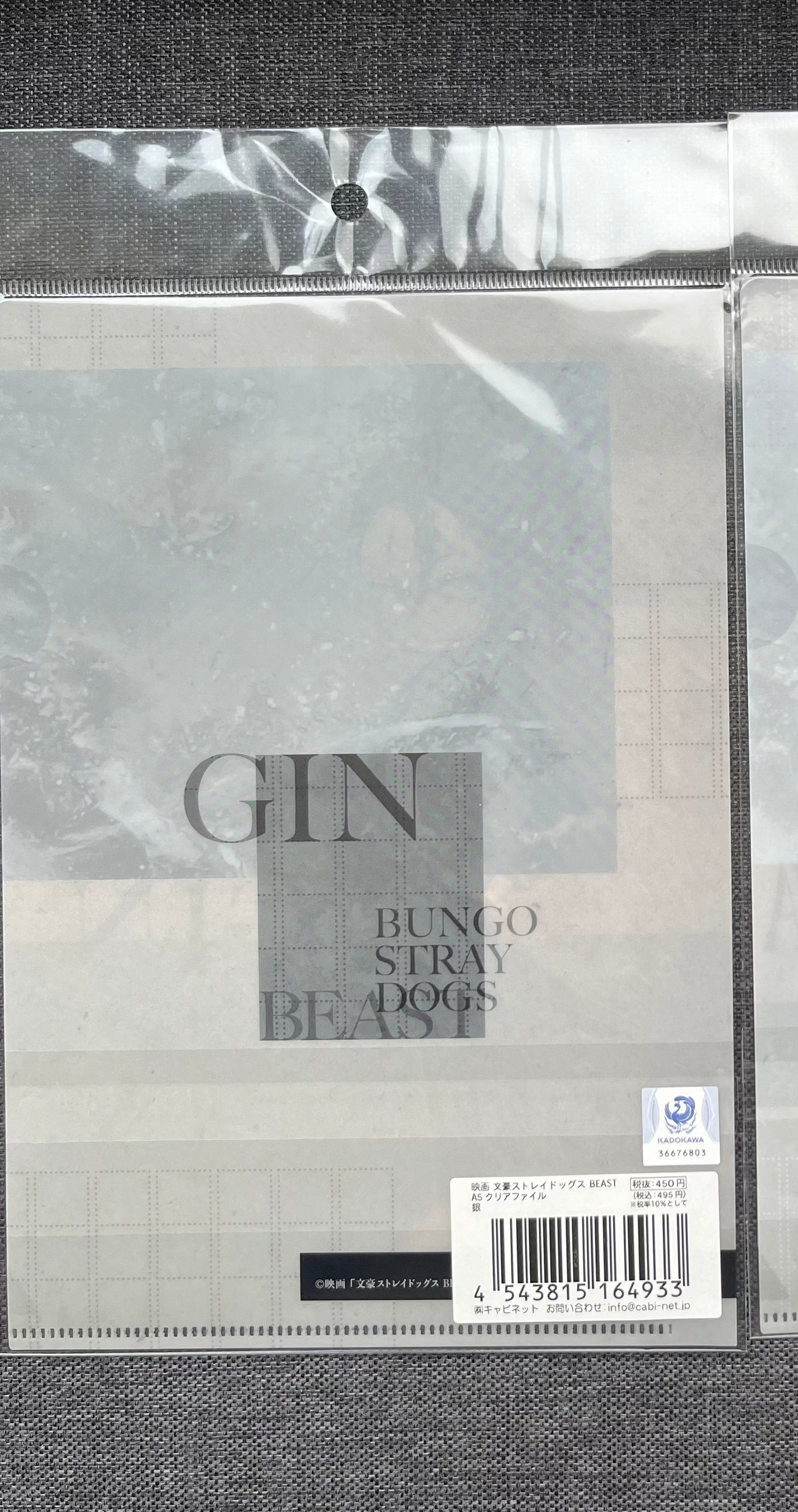 Bungou Stray Dogs Beast Gin A5 Clear File