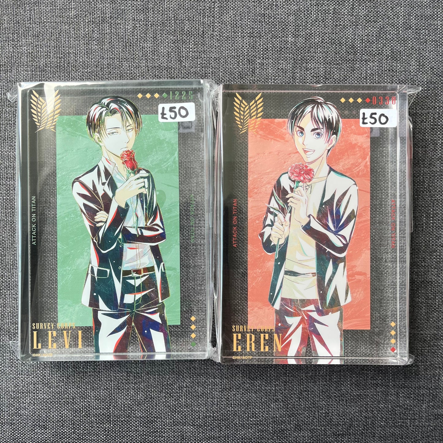 Attack On Titan Large Acrylic Block