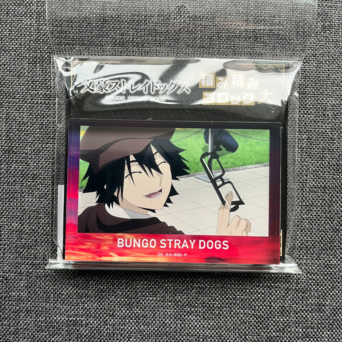 Bungou Stray Dogs Ranpo Acrylic Block Standee