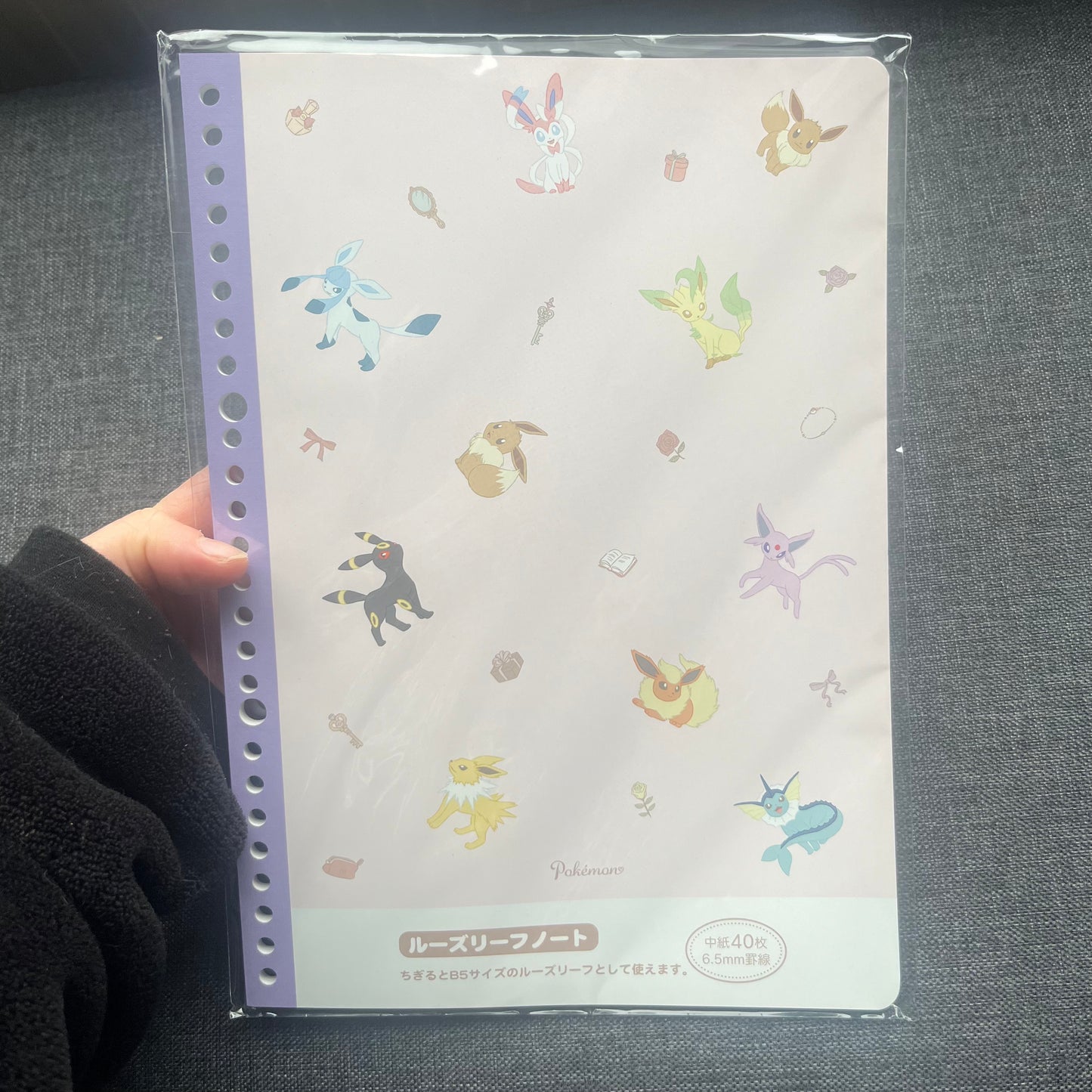 Pokémon Eeveelutions A4 Notebook