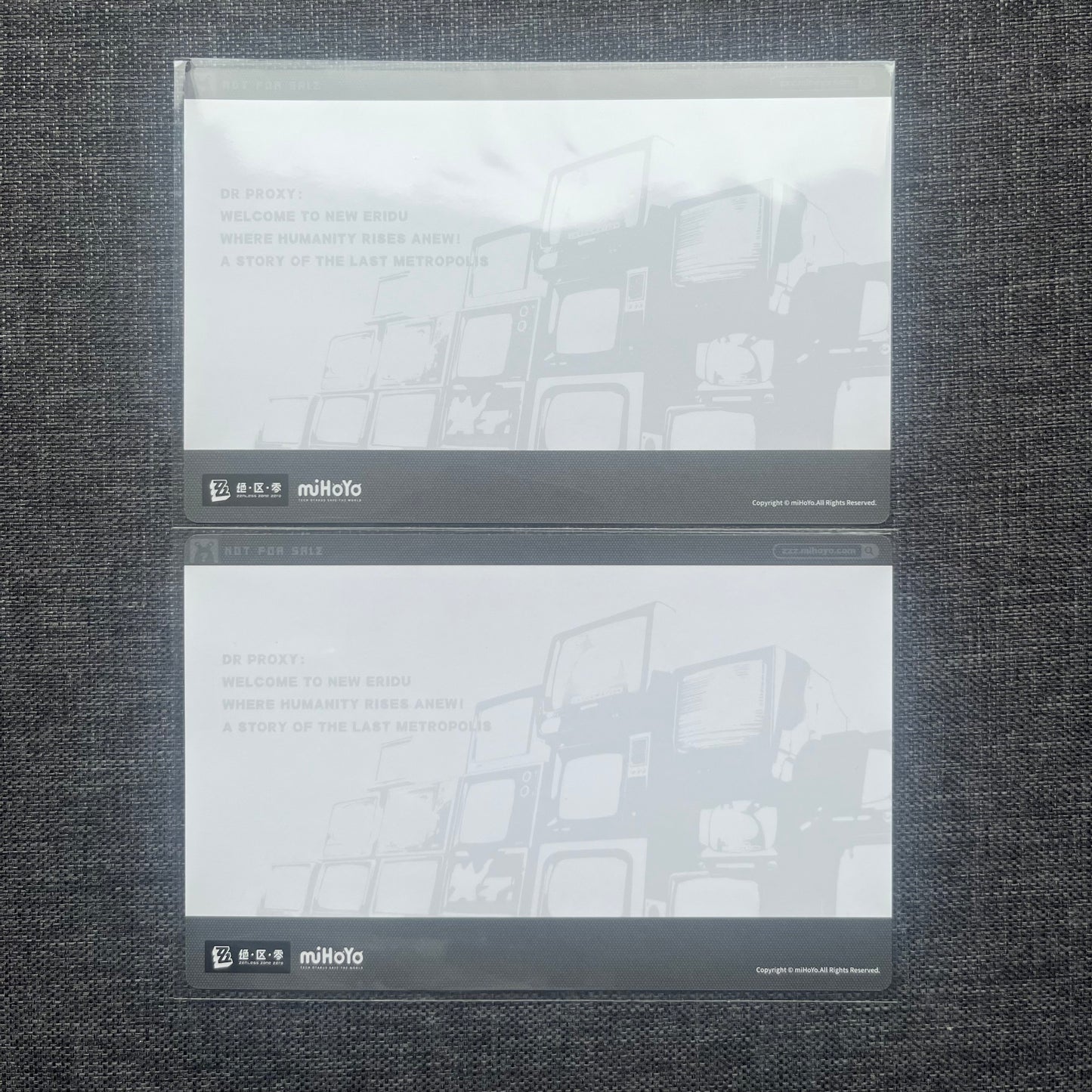 Zenless Zone Zero Caesar / Burnice Postcard Set