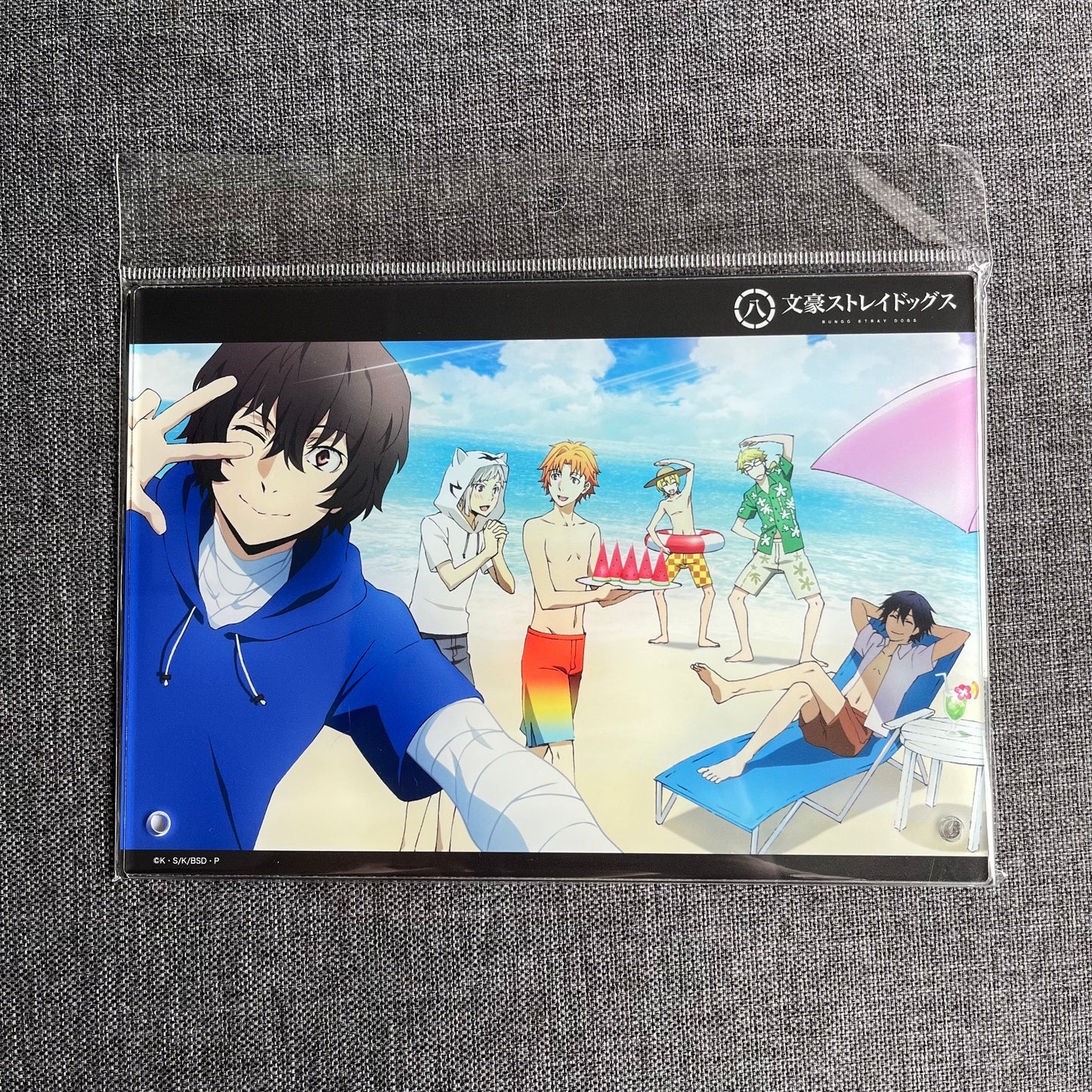 Bungou Stray Dogs Beach Acrylic Panel / Standee (Armed Detective Agency)