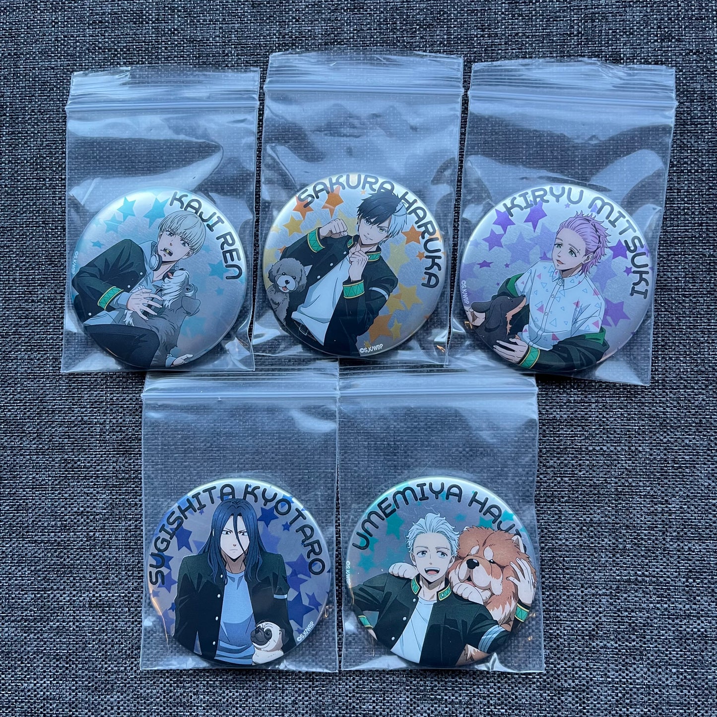 Wind Breaker Dog Badges