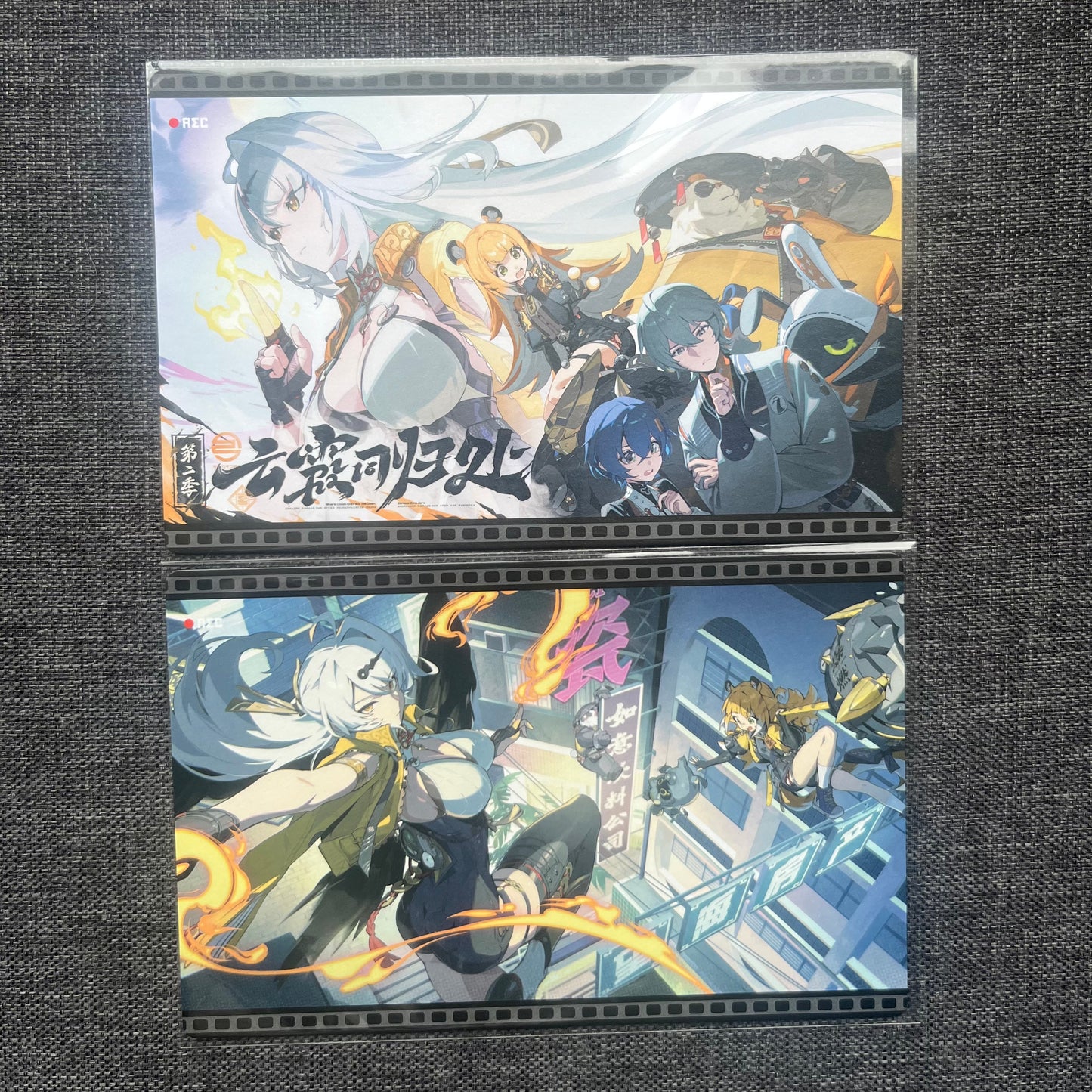 Zenless Zone Zero Yixuan Postcard Set