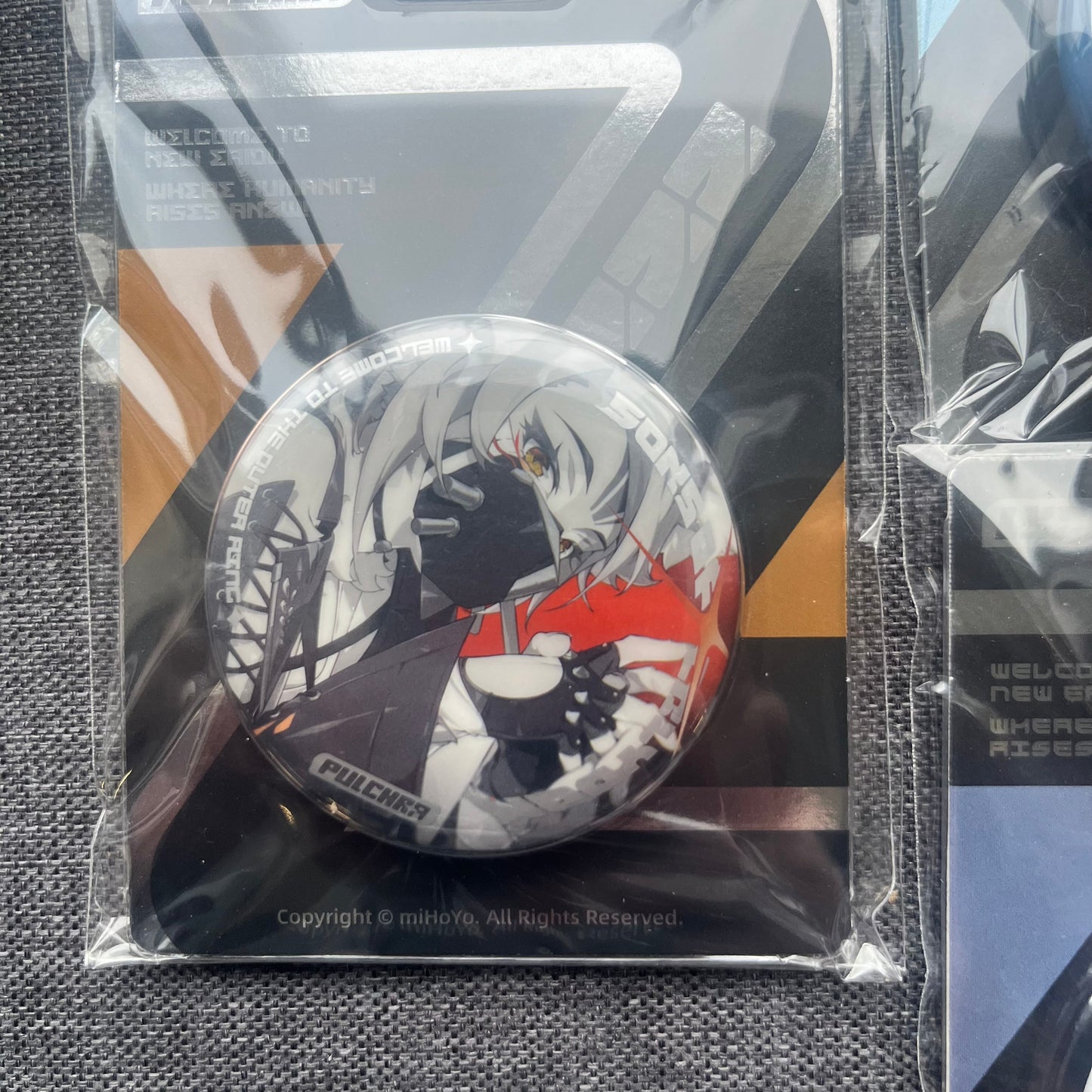 Zenless Zone Zero Badges