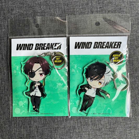 Wind Breaker Large Acrylic Charms