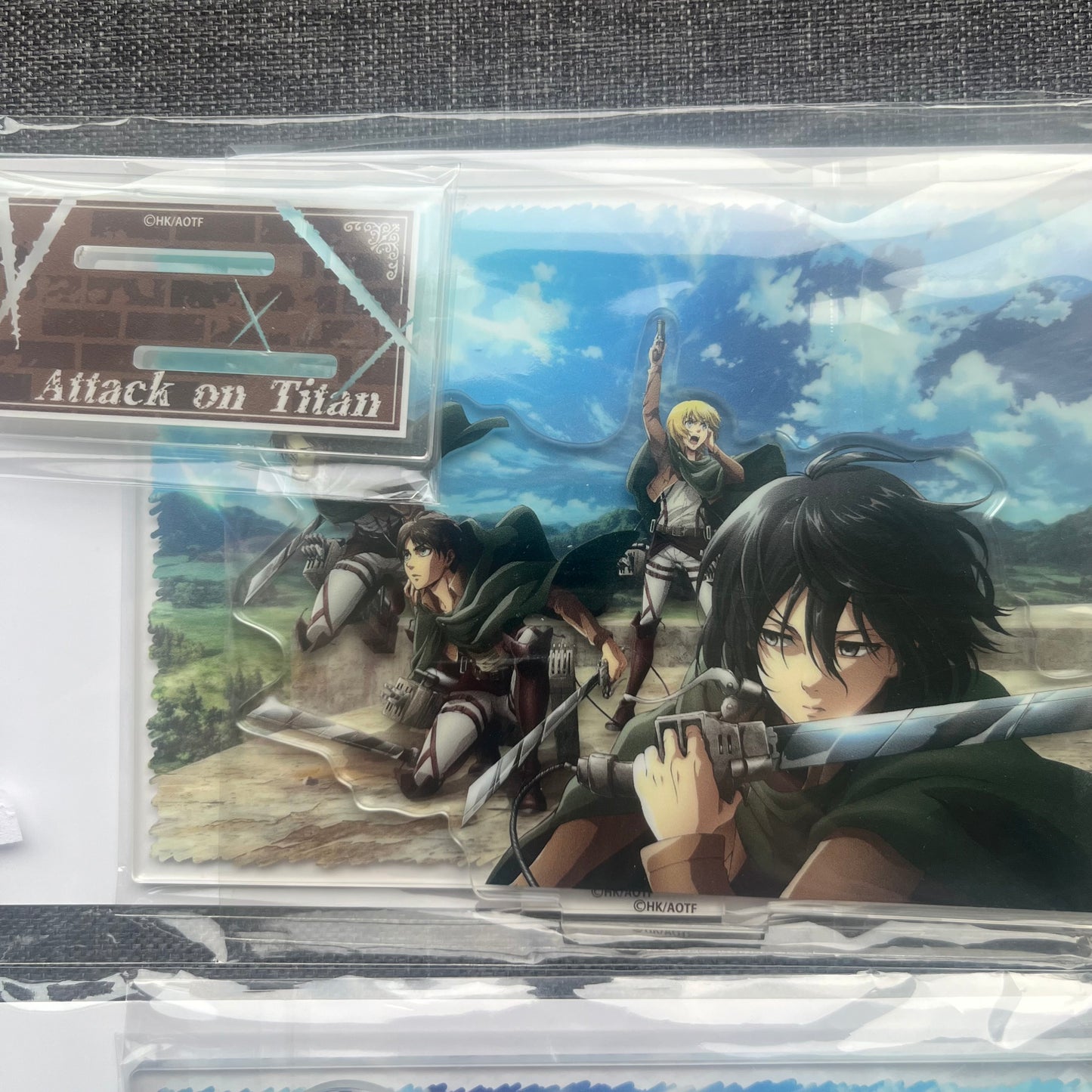 Attack On Titan Acrylic Standees
