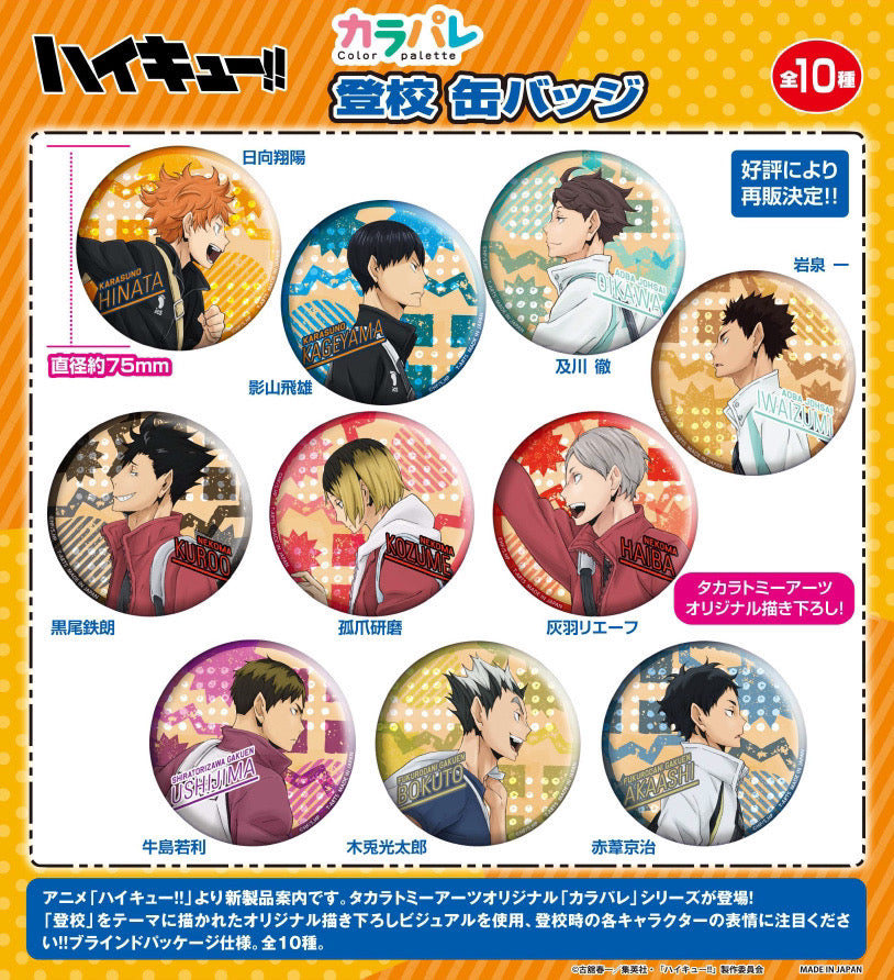 Haikyuu School Badges