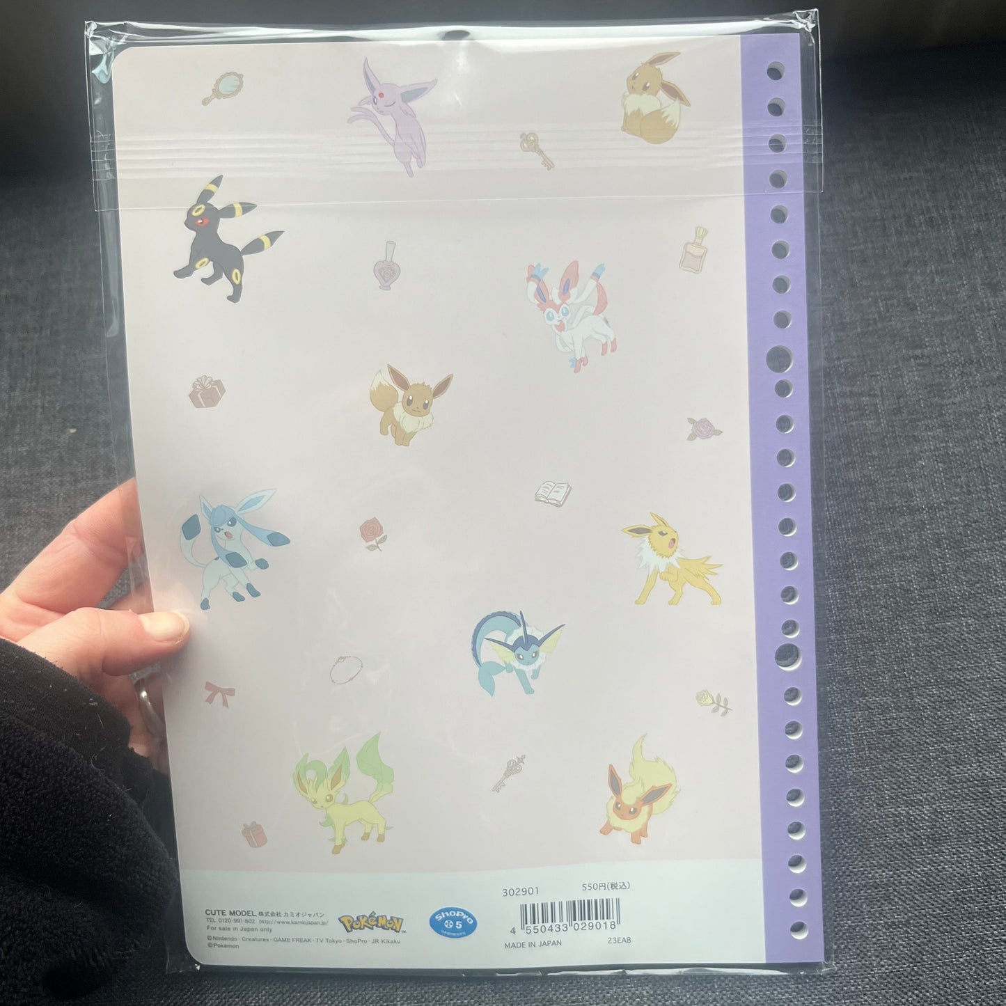 Pokémon Eeveelutions A4 Notebook