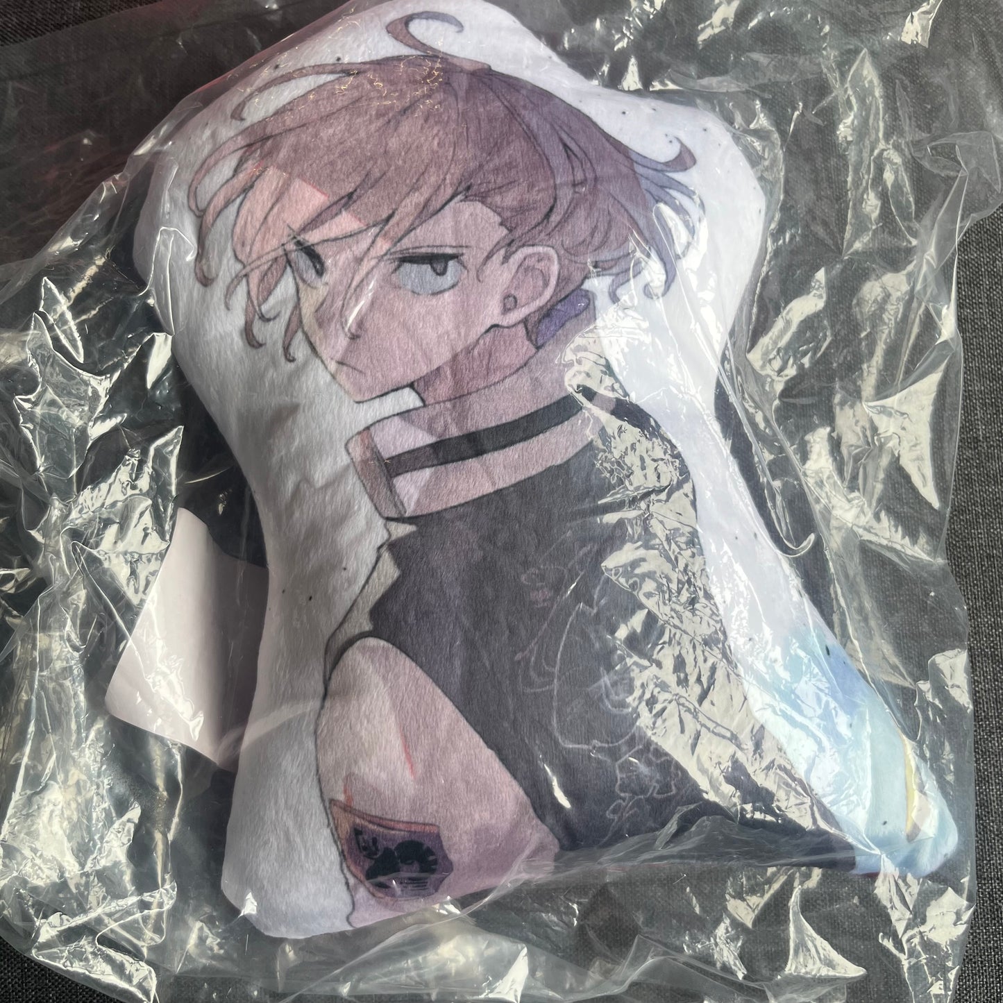 Bungou Stray Dogs Nakahara Chuuya (Fifteen Era) Small Cushion